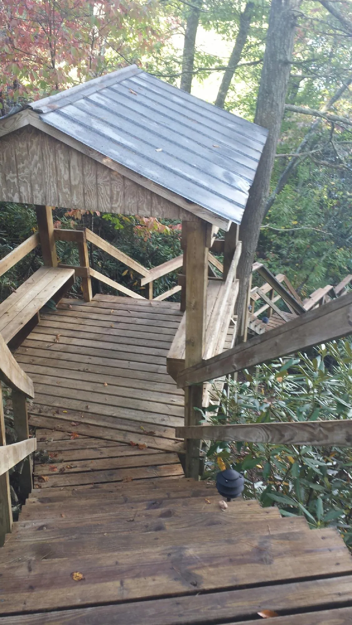 Metal roofed shelter over wooden steps on a wooded walkway — Skylight Repair & Installation work by our crew in Gracewood